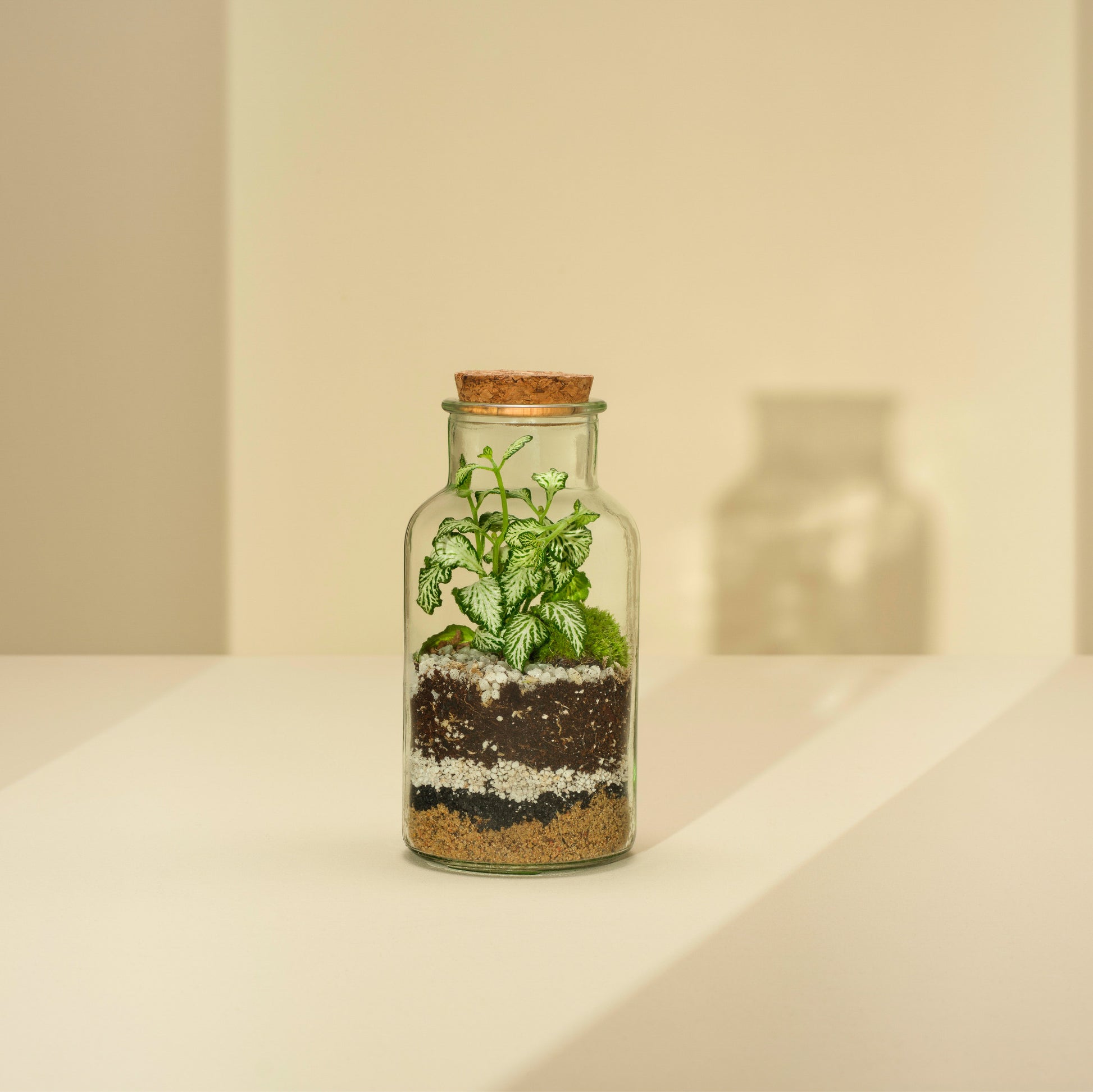 Plant Terrarium In Glass - Anne