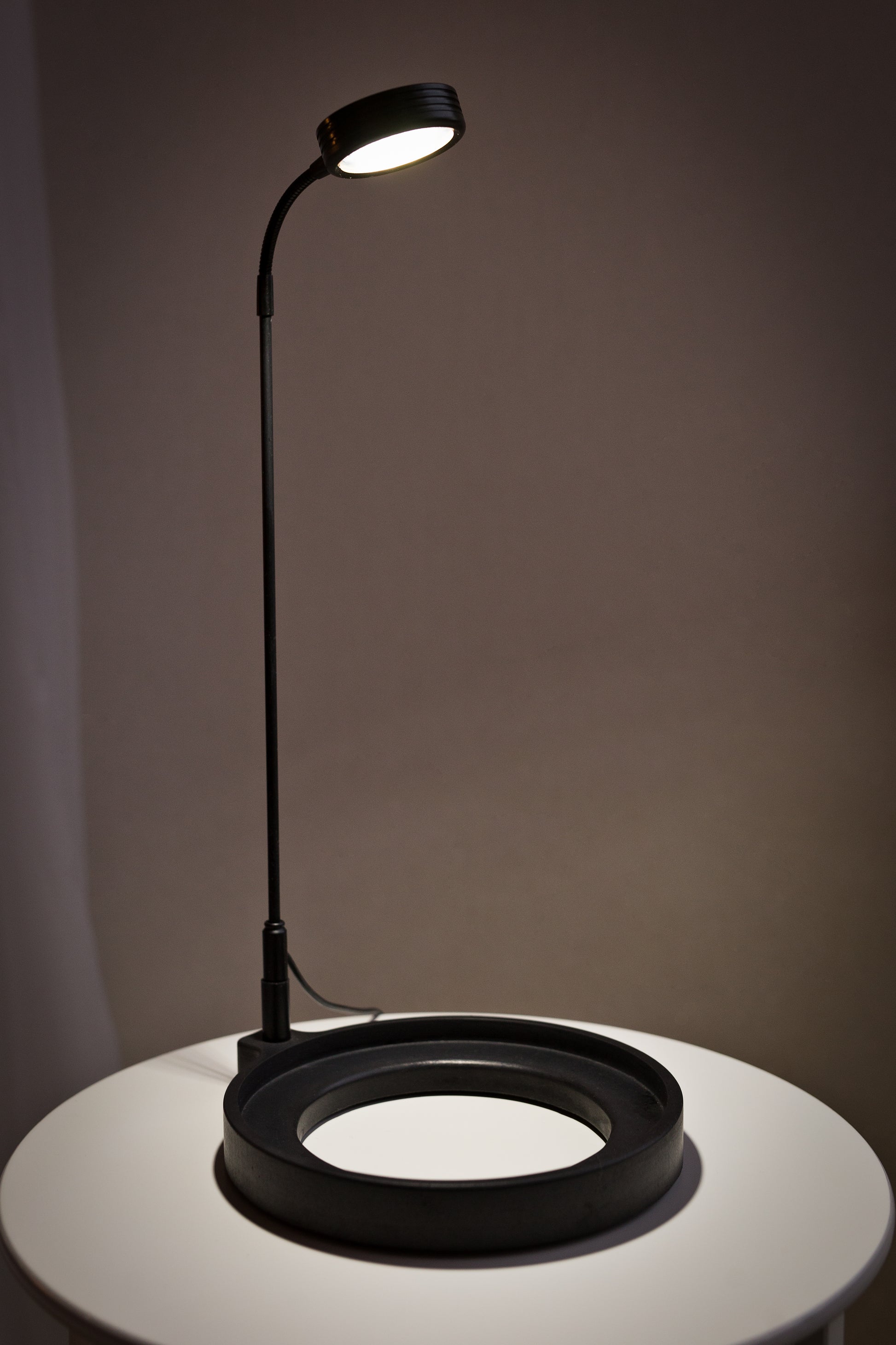 Terrarium Lamp