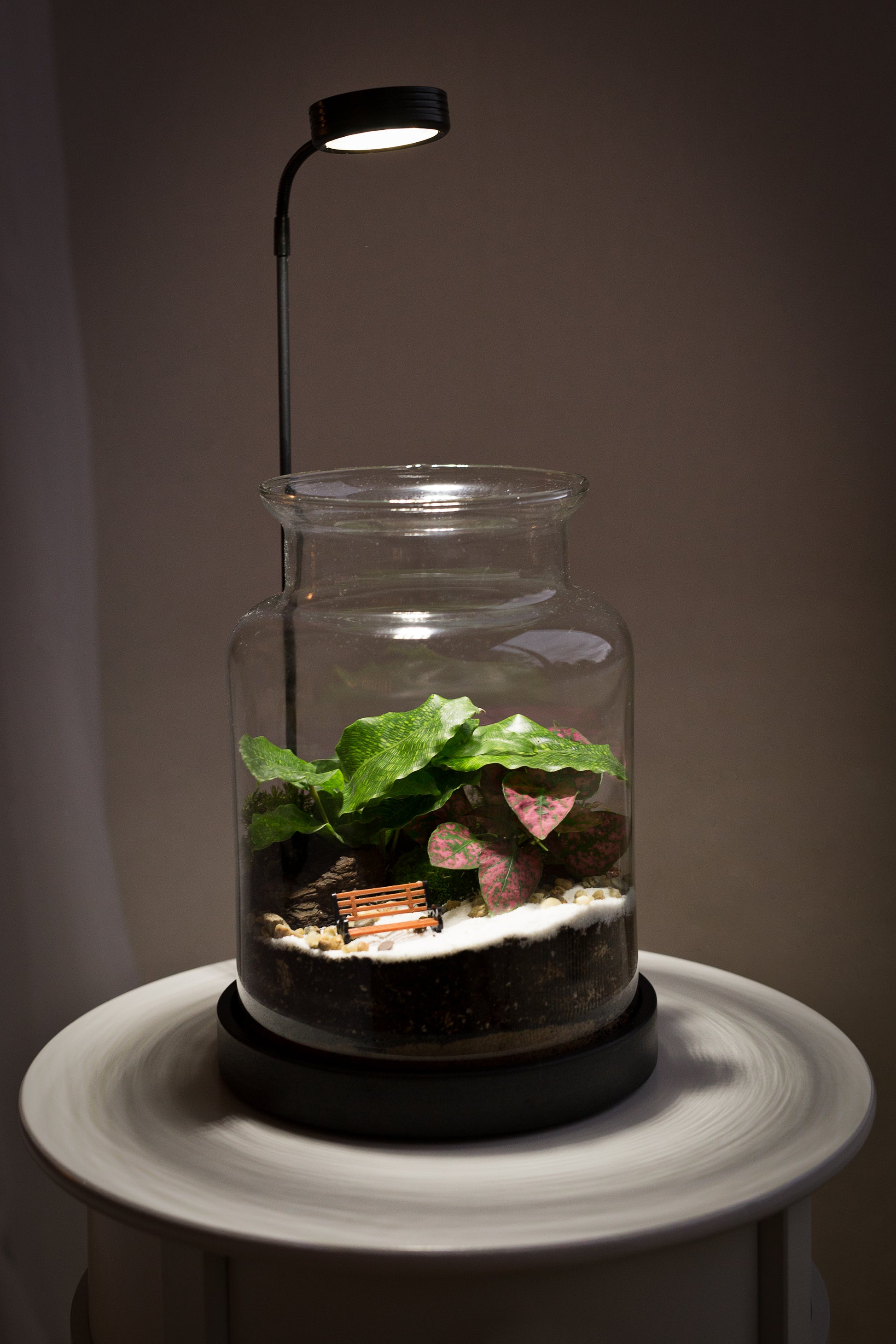 Terrarium Lamp