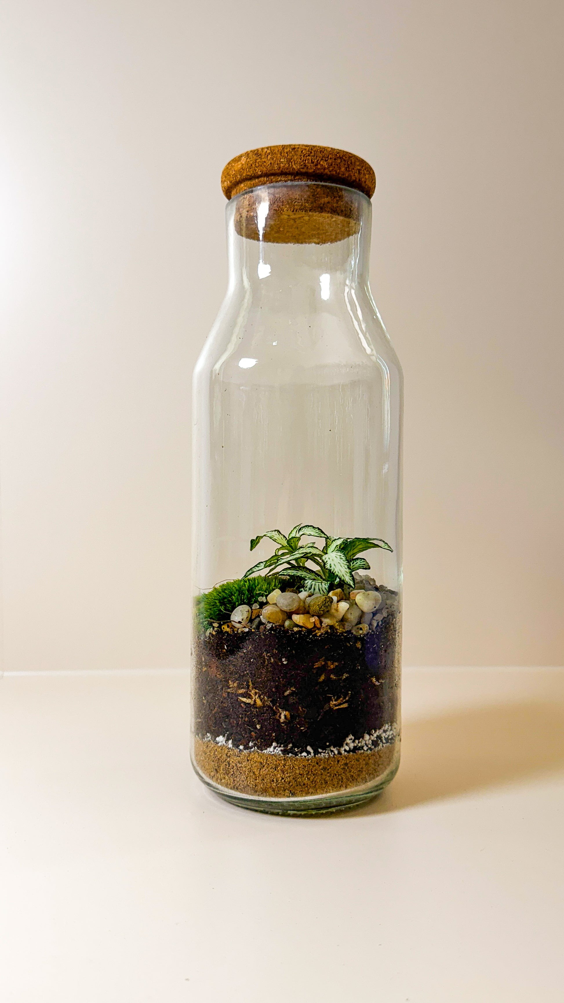 DIY Terrarium Set - Martin
