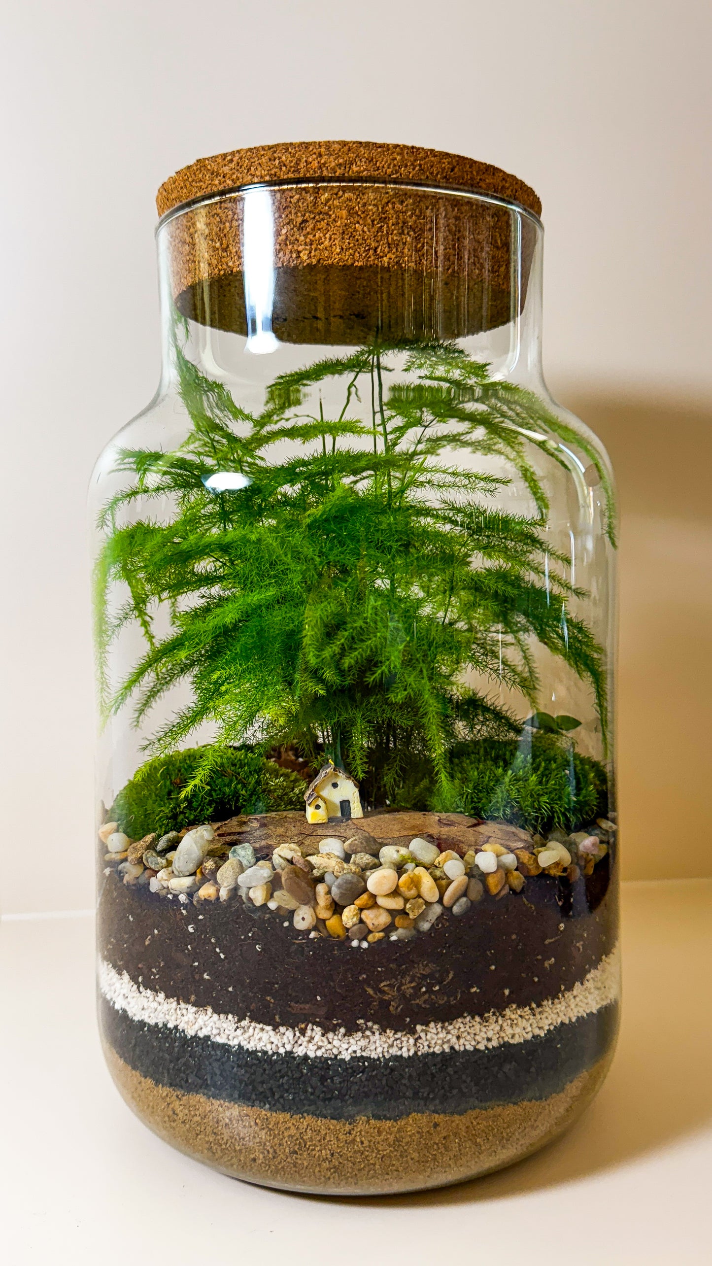 Vienna Terrarium Workshop