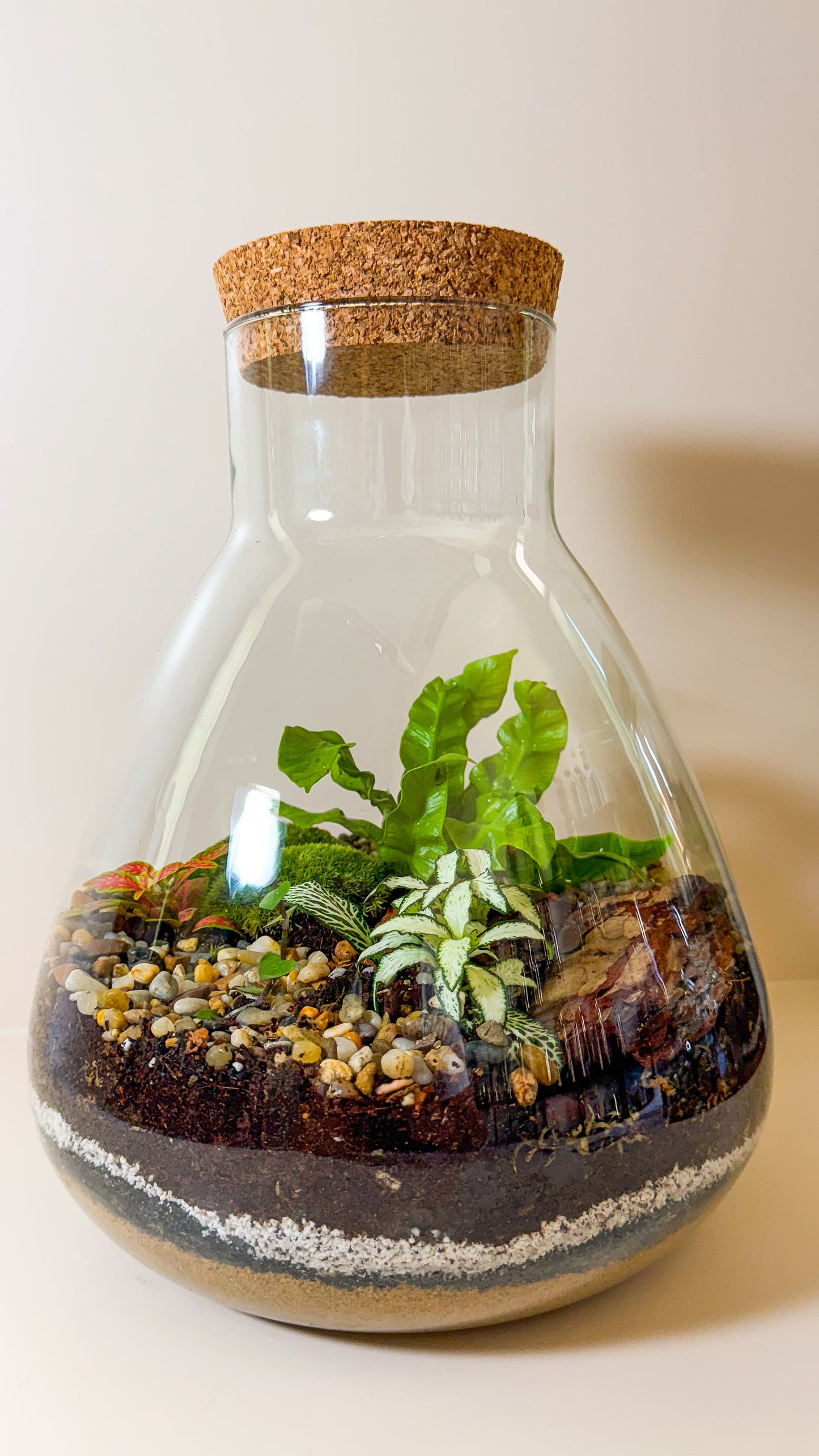 Plant Terrarium In Glass - Tomáš