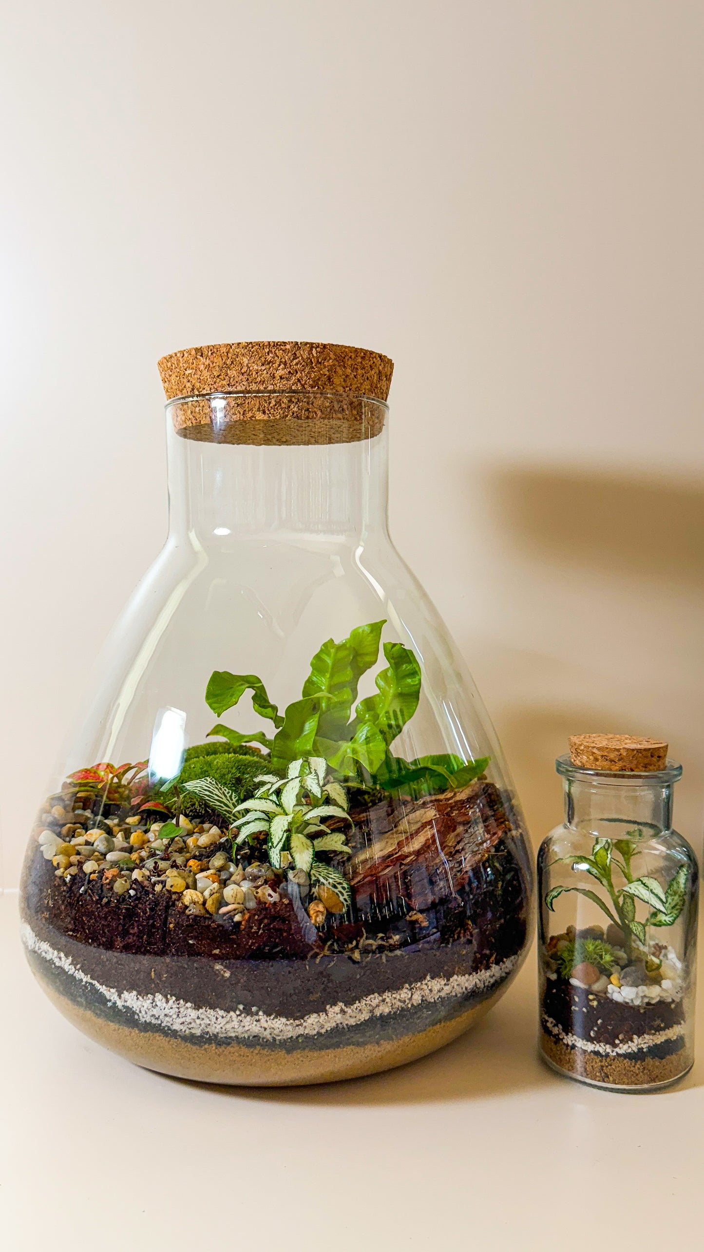 Plant Terrarium In Glass - Tomáš