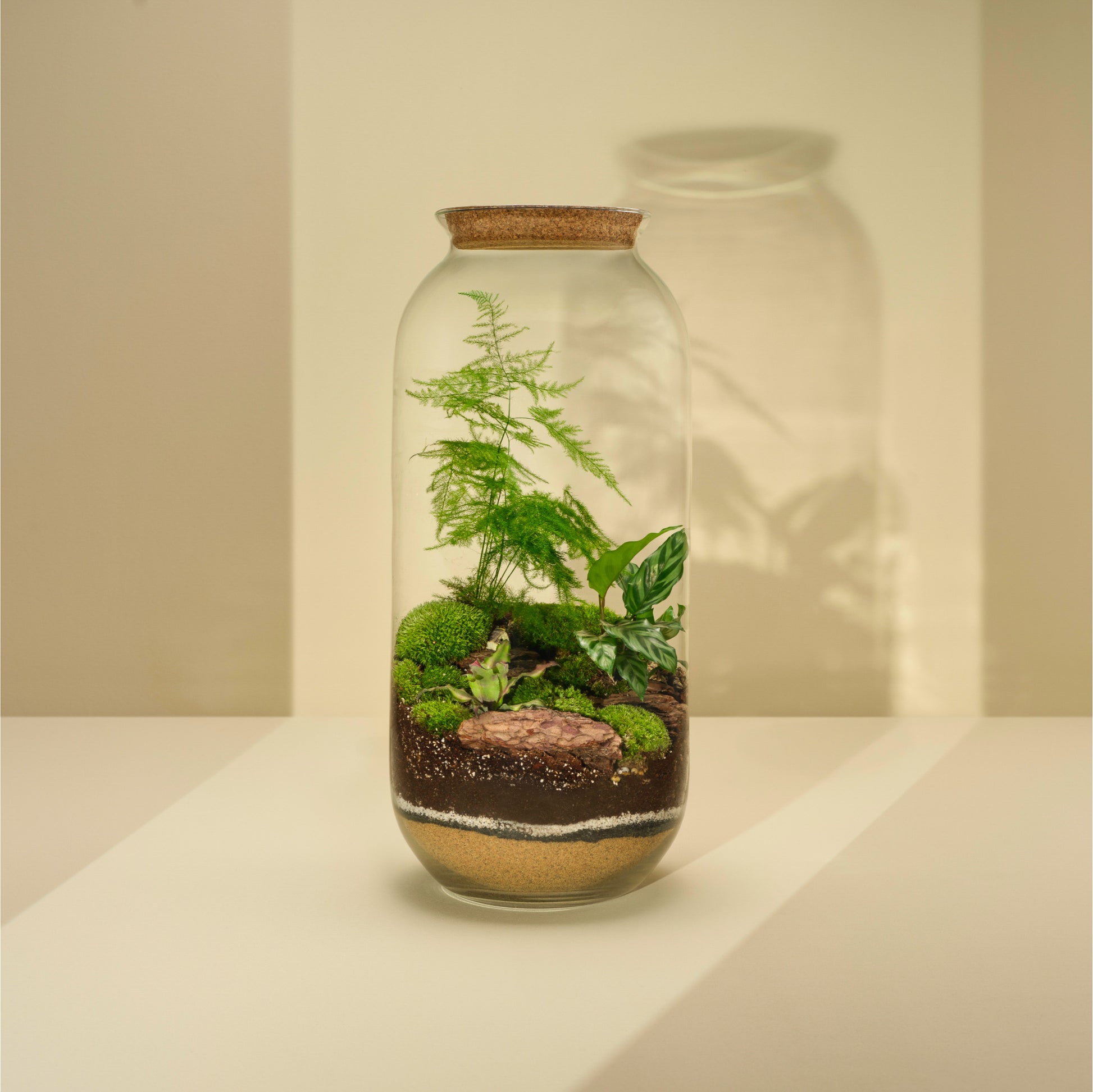 Plant Terrarium In Glass - Radka
