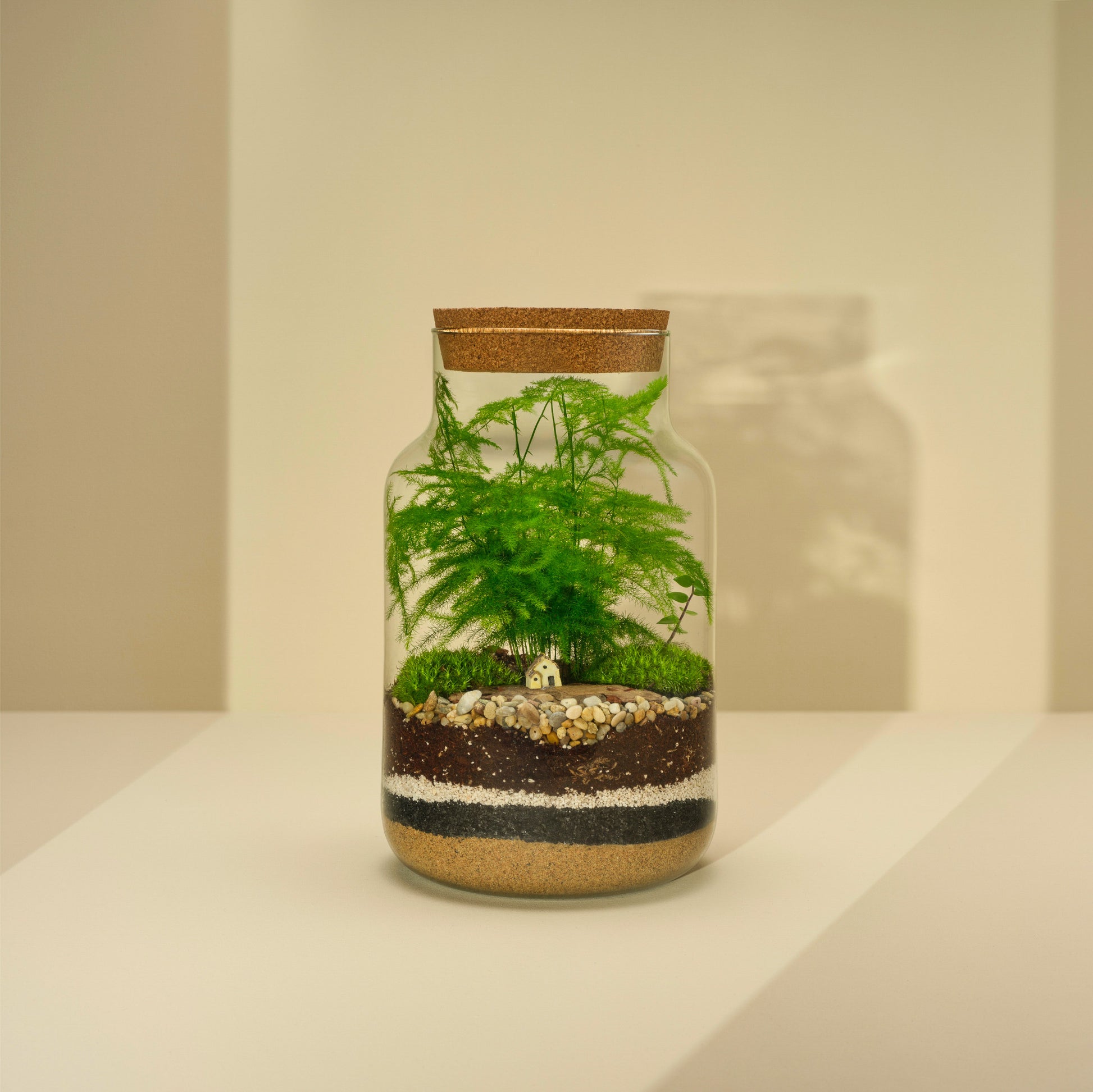 Plant Terrarium In Glass - Tadeáš