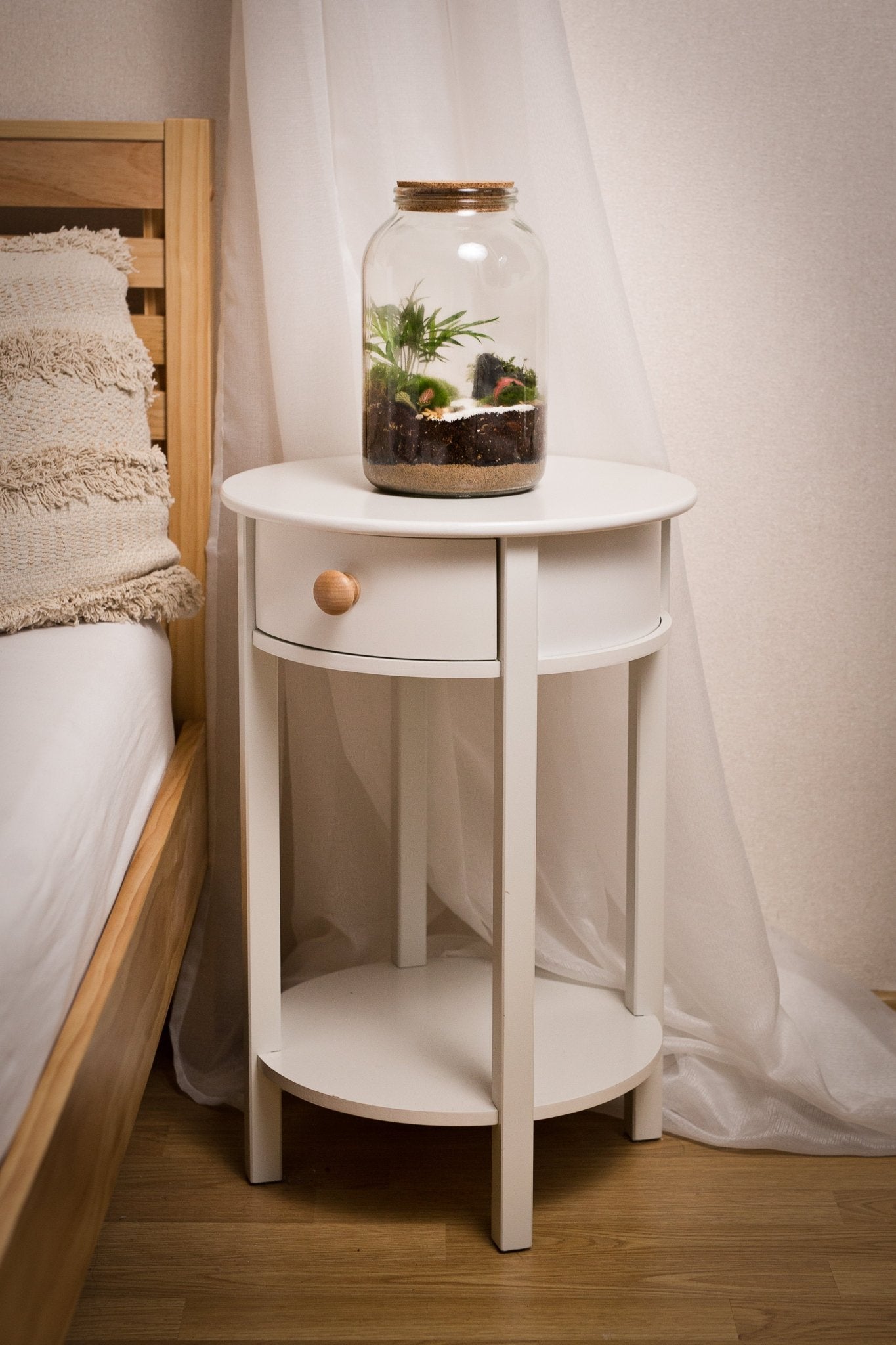 Terrarium Nenita - Halaman Habitat - Terrarium