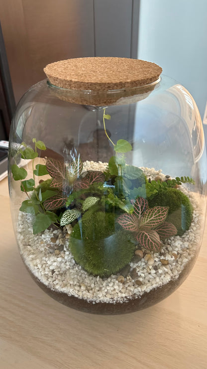 Plant Terrarium In Glass - Rose