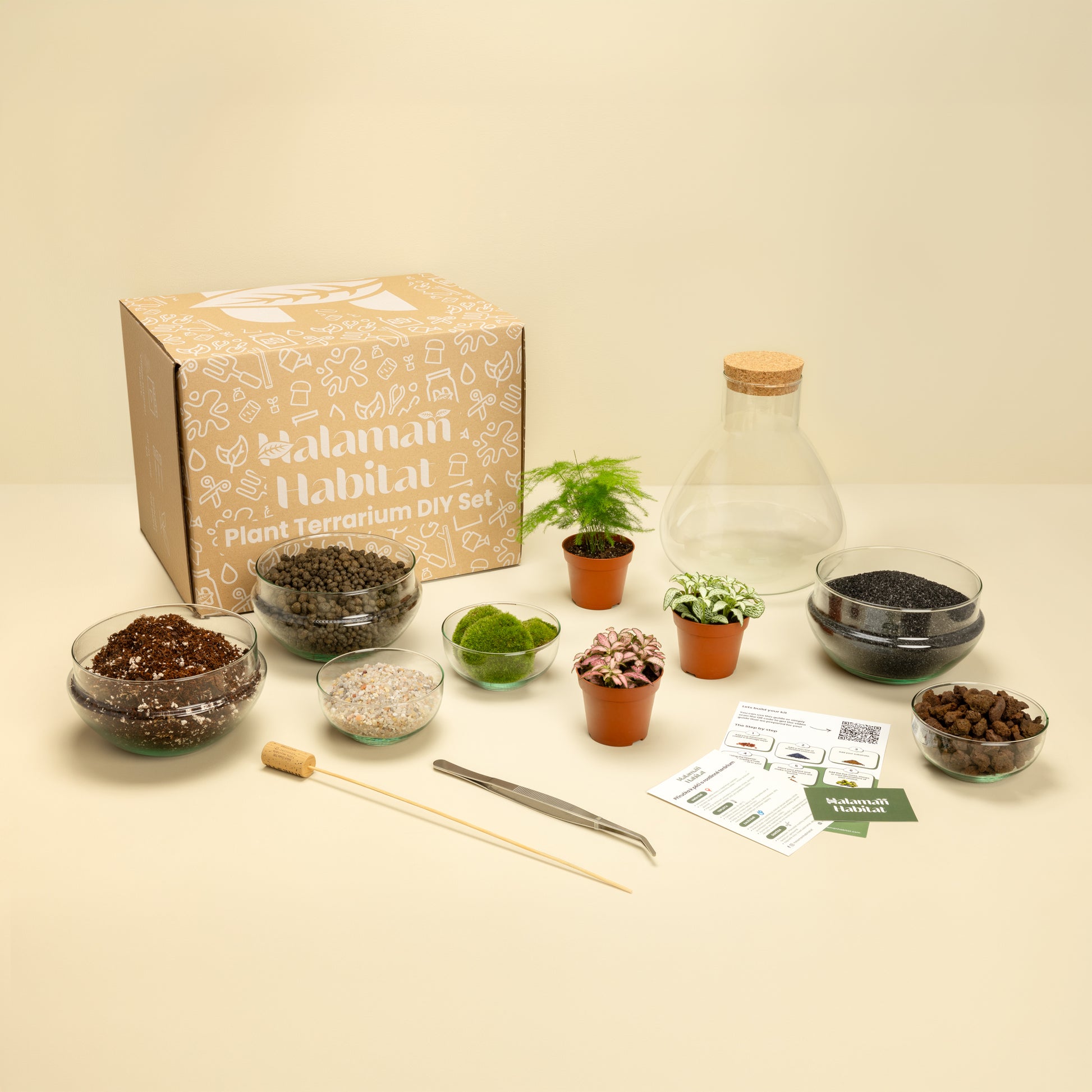 DIY Terrarium Set - Tomas Medium