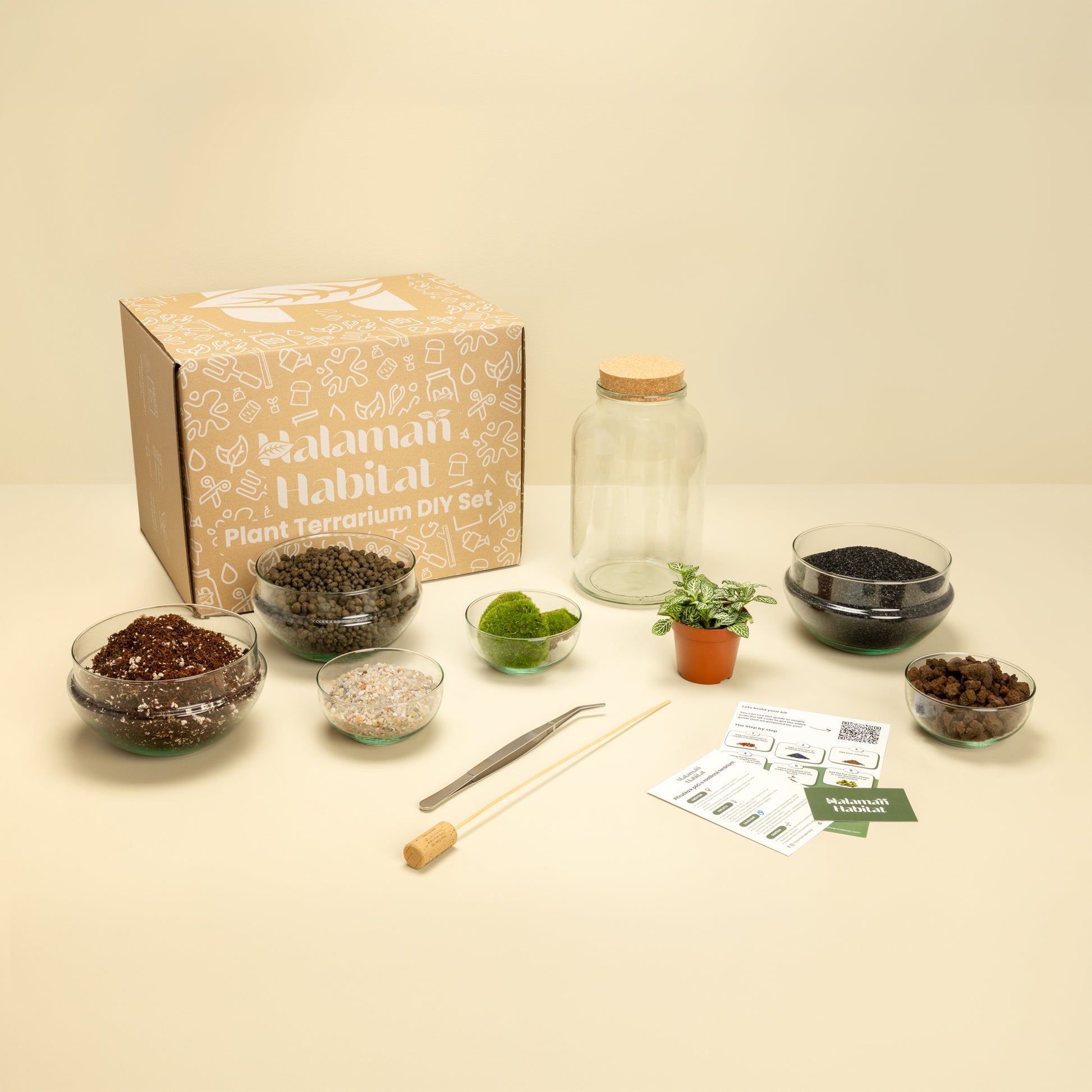 DIY Terrarium Set - Nenita