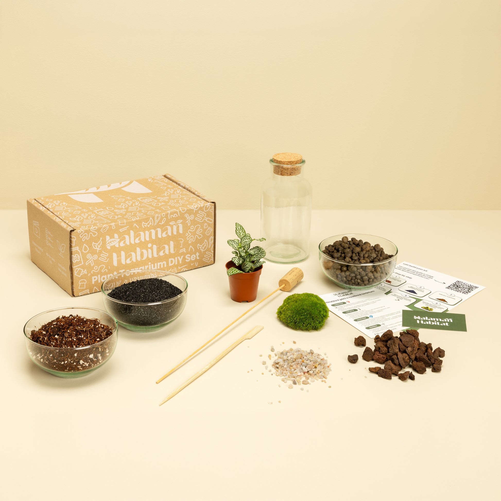 DIY Terrarium Set - Anne