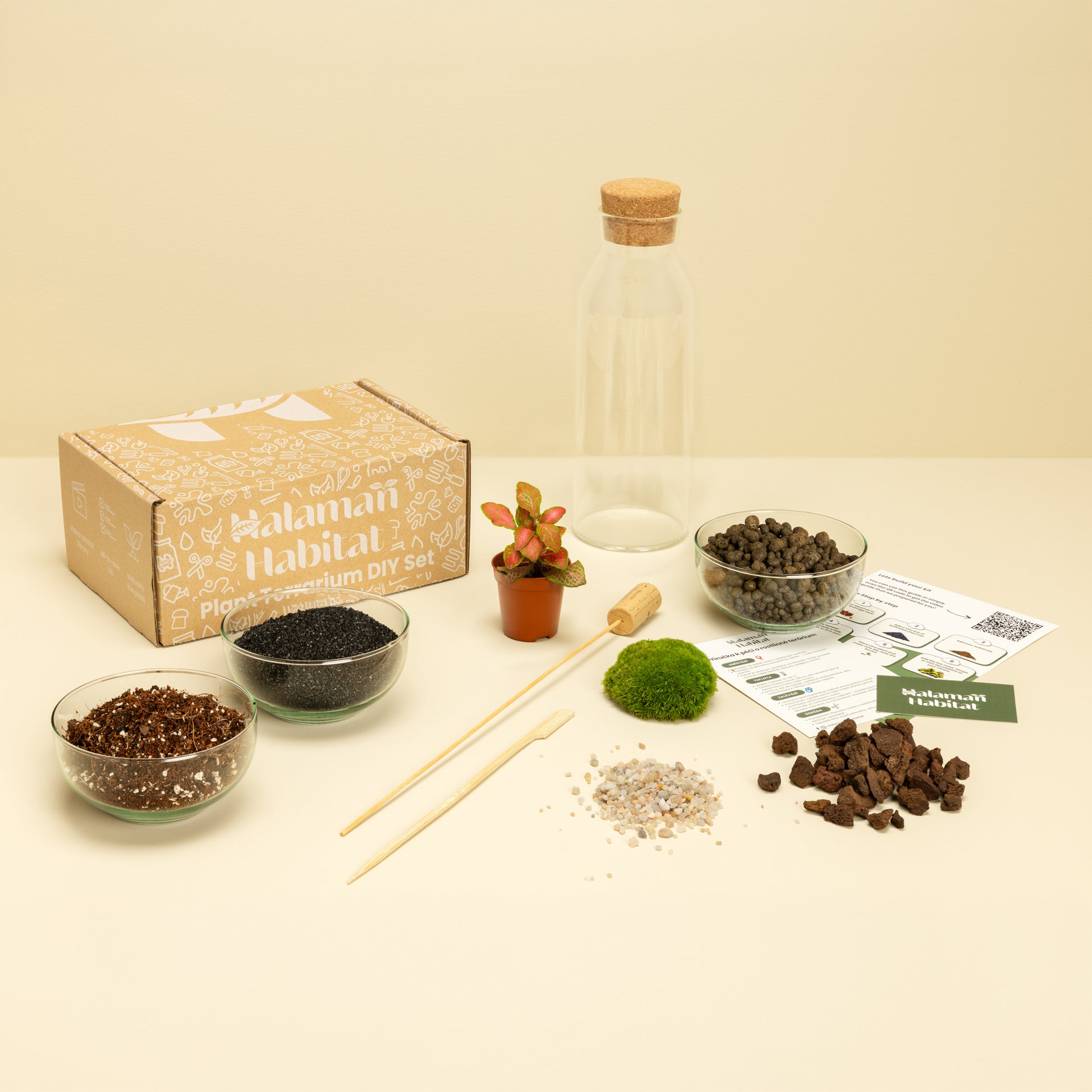 DIY Terrarium Set - Martin
