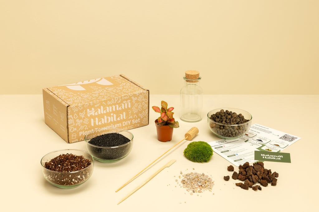 DIY Terrarium Set - Kyla