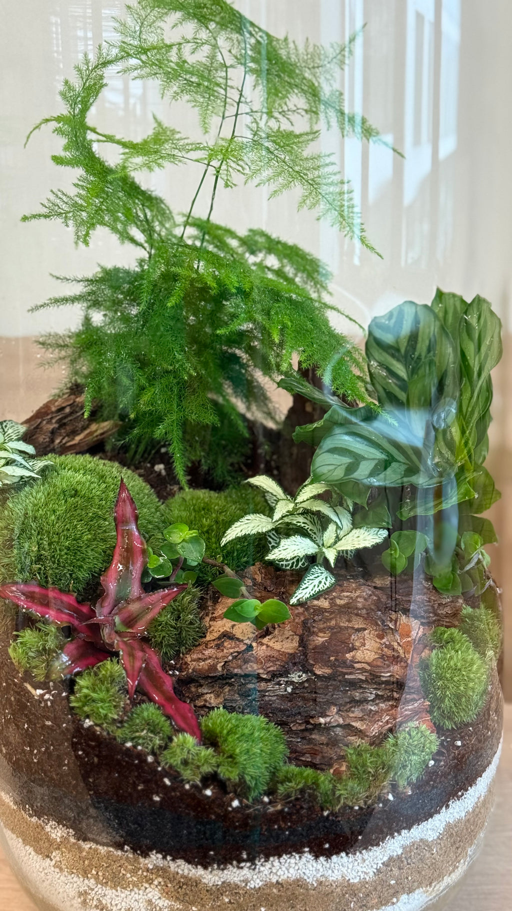 Plant Terrarium In Glass - Radka