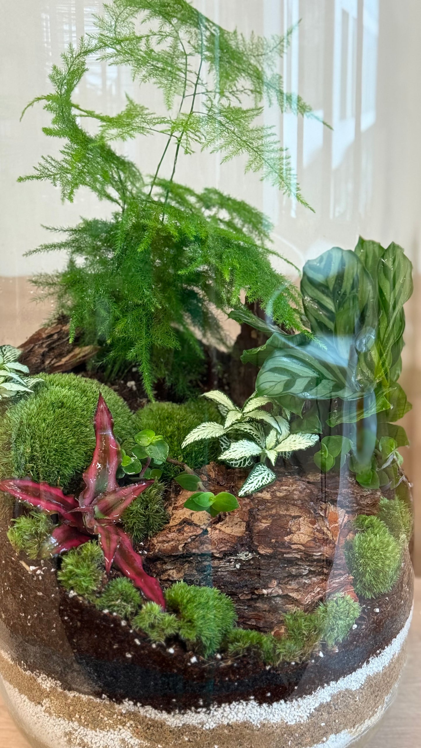 Plant Terrarium In Glass - Radka