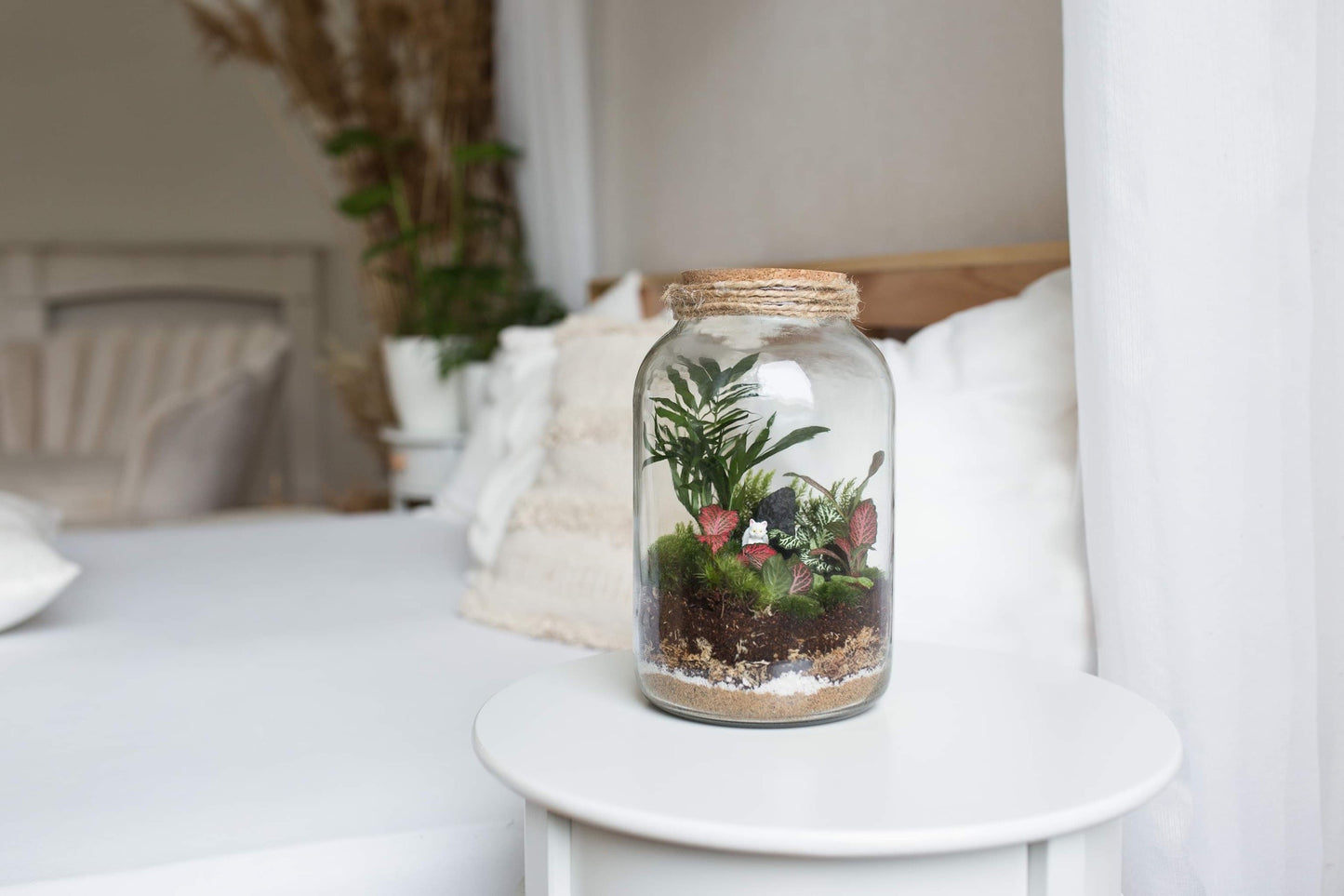 Plant Terrarium In Glass - Nenita