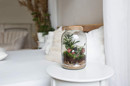 Plant Terrarium In Glass - Nenita