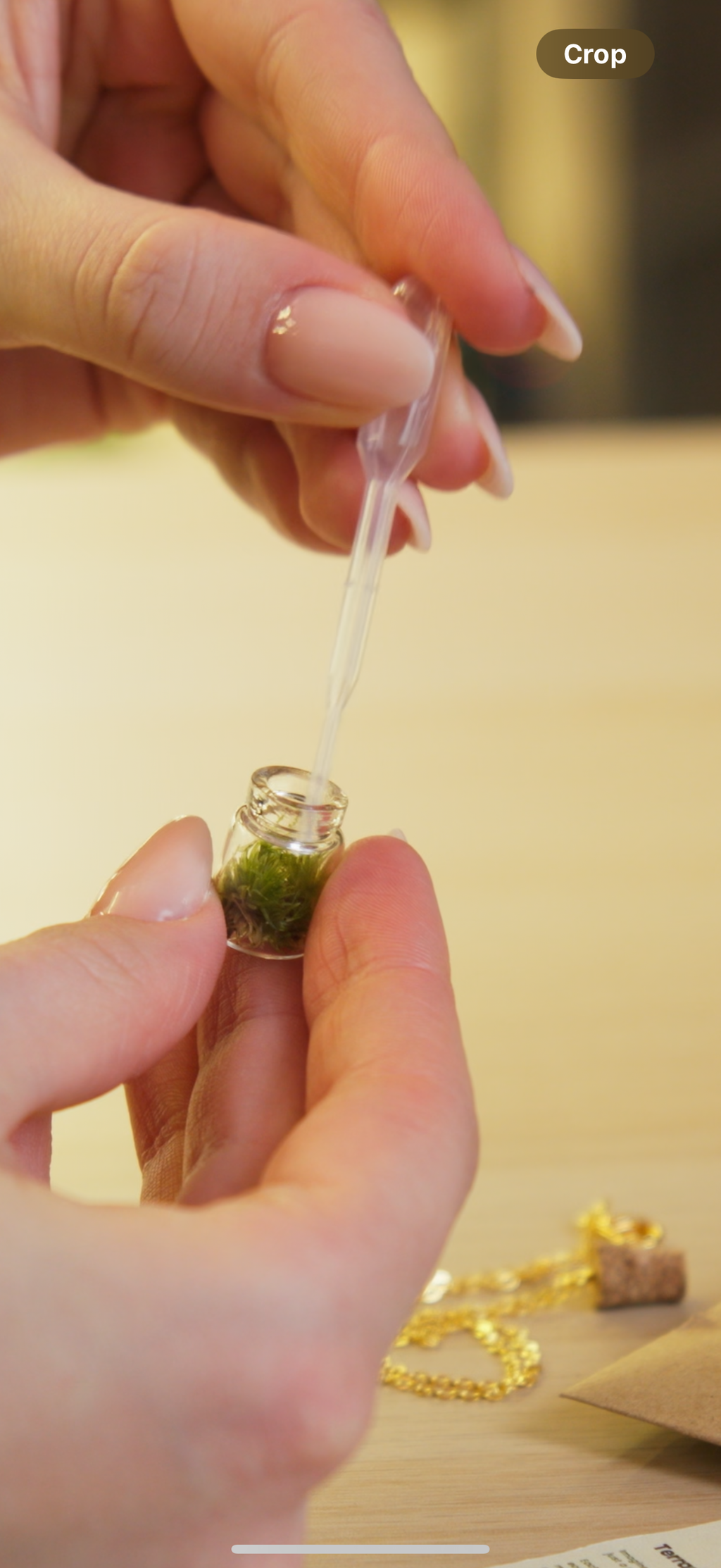 Terrarium Necklace