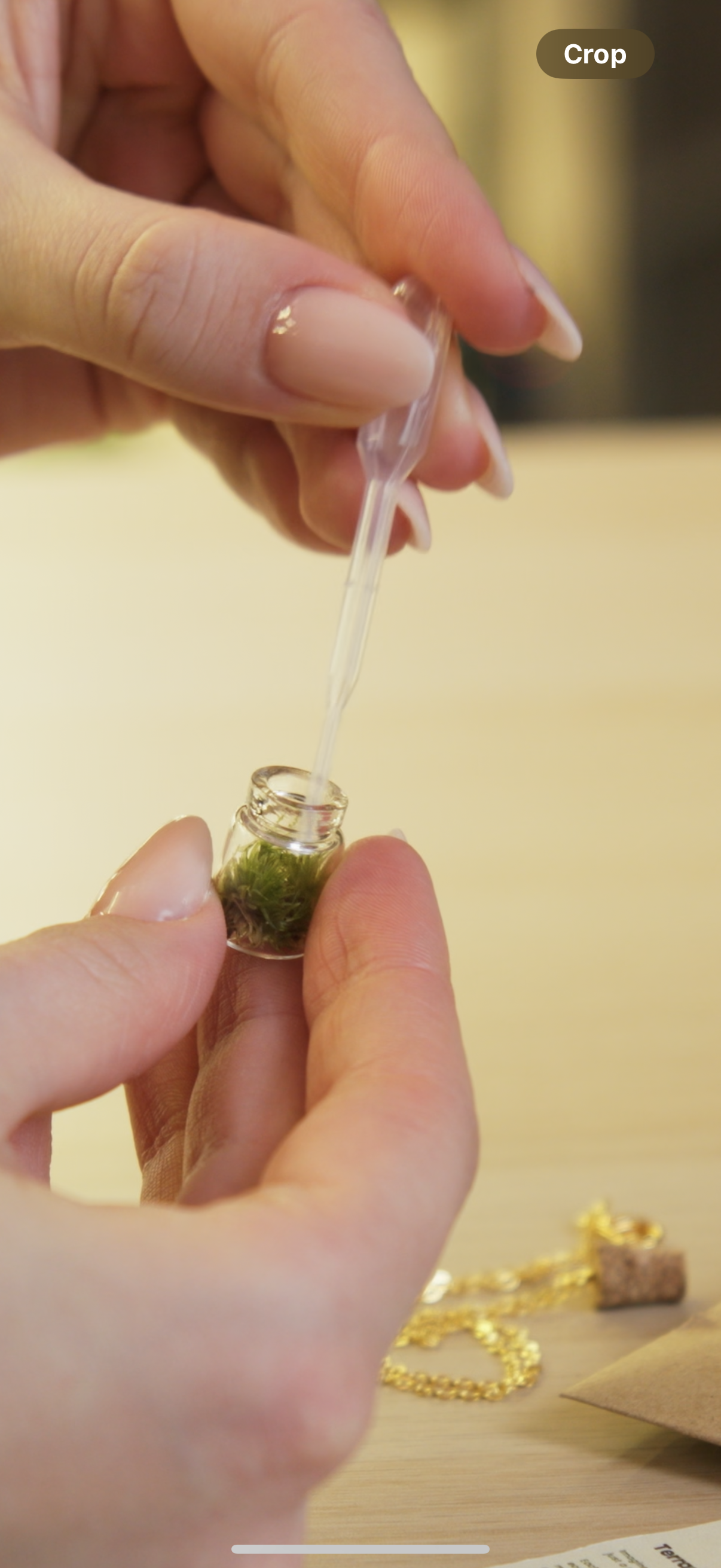 Terrarium Necklace