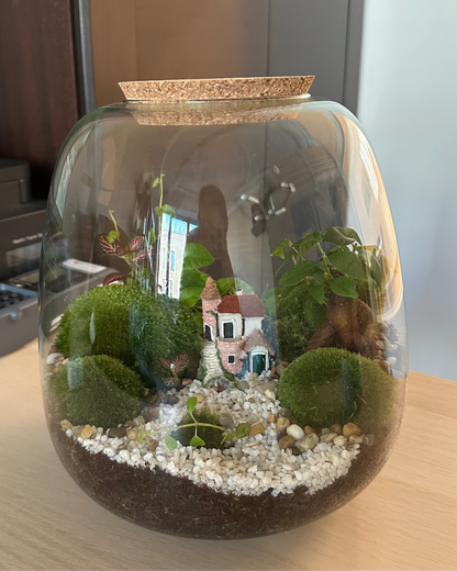 Plant Terrarium In Glass - Rose