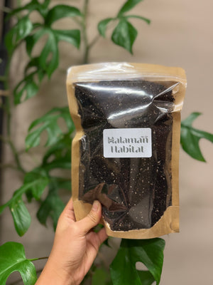 Halaman Plant Soil