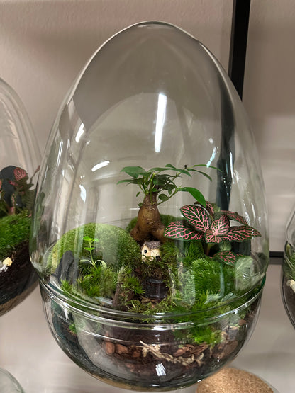 Plant Terrarium In Glass - Jordan