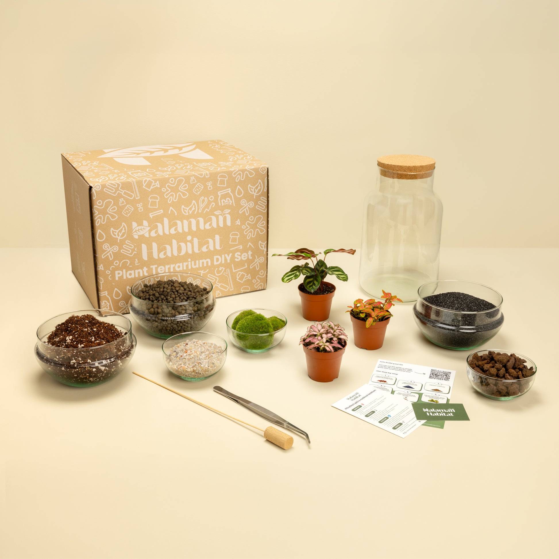 DIY Terrarium Set - Tadeas Medium