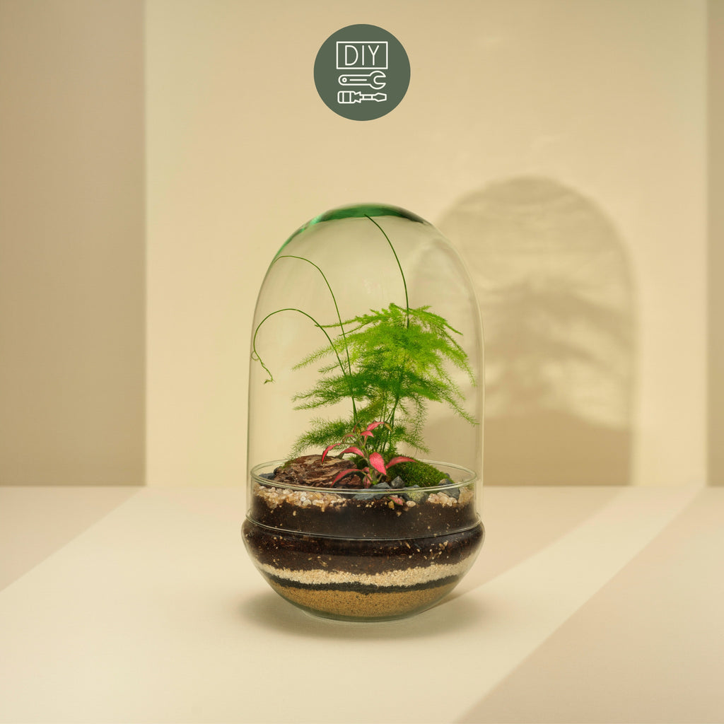 Vienna Terrarium Workshop