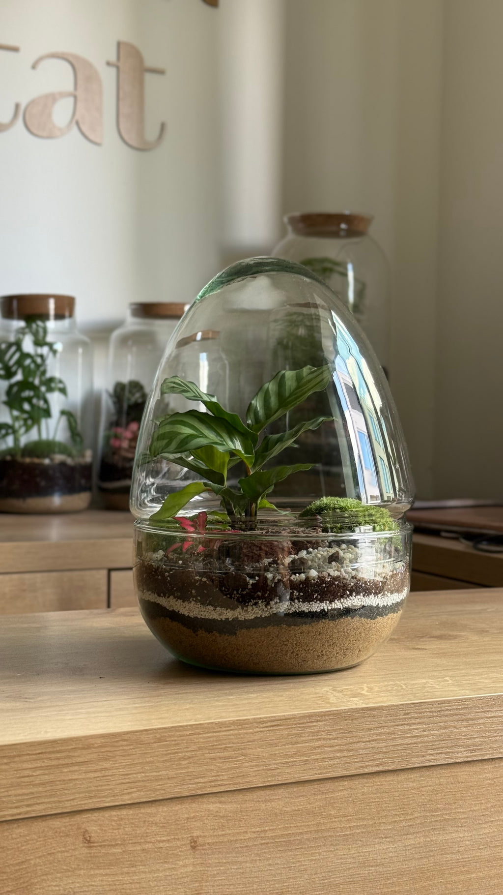 Plant Terrarium In Glass - Jordan