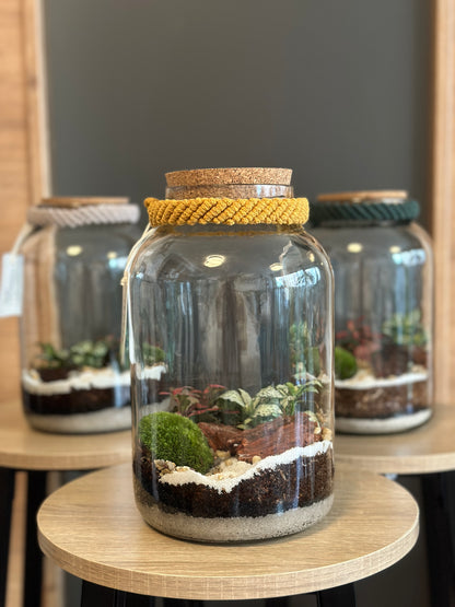 DIY Terrarium Set - Nenita