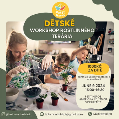 Children's Terrarium Workshop