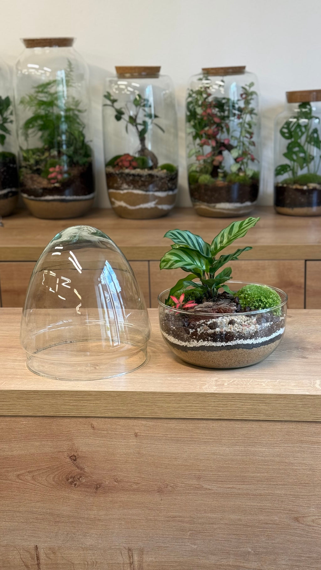 Plant Terrarium In Glass - Jordan