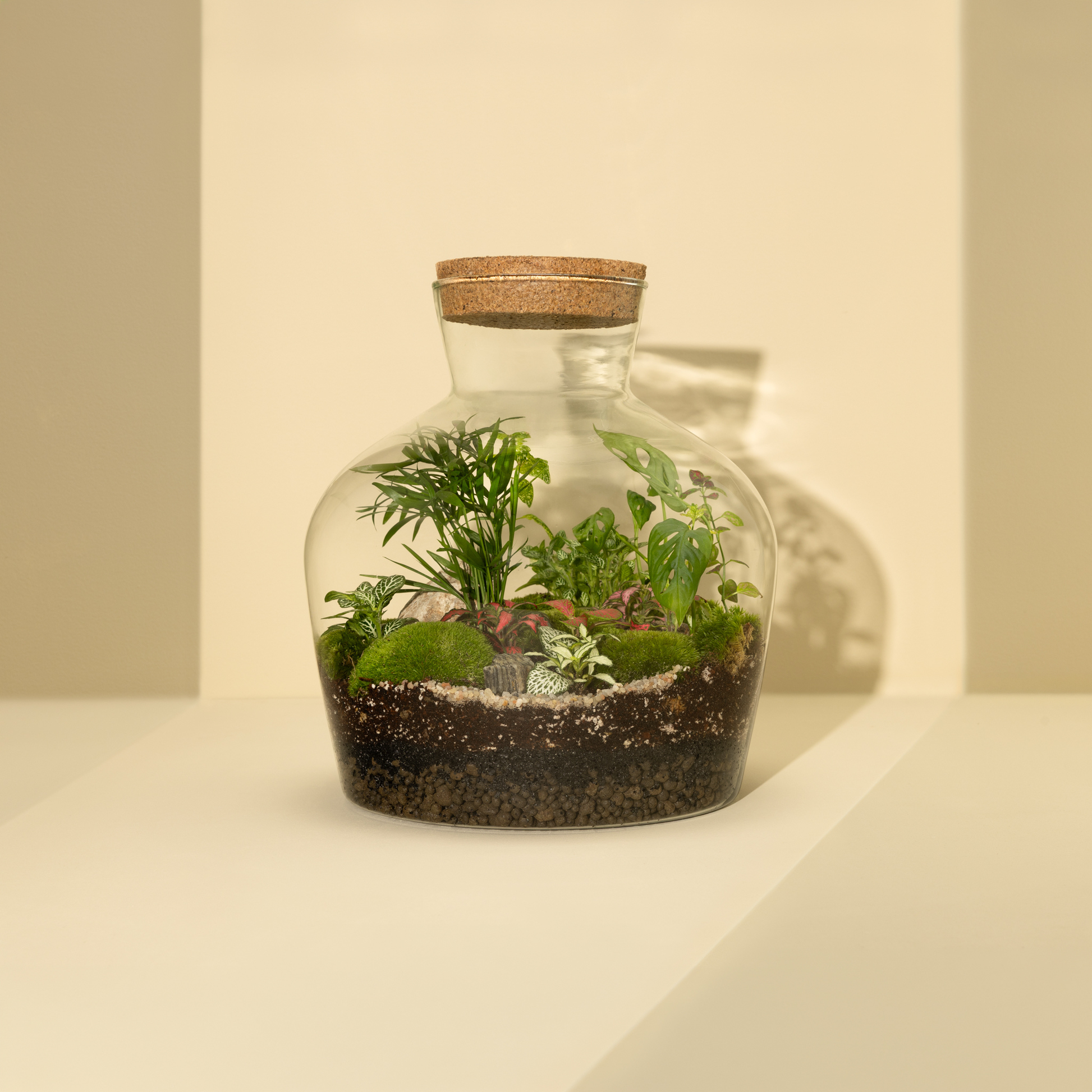 Plant Terrarium In Glass - Daniel