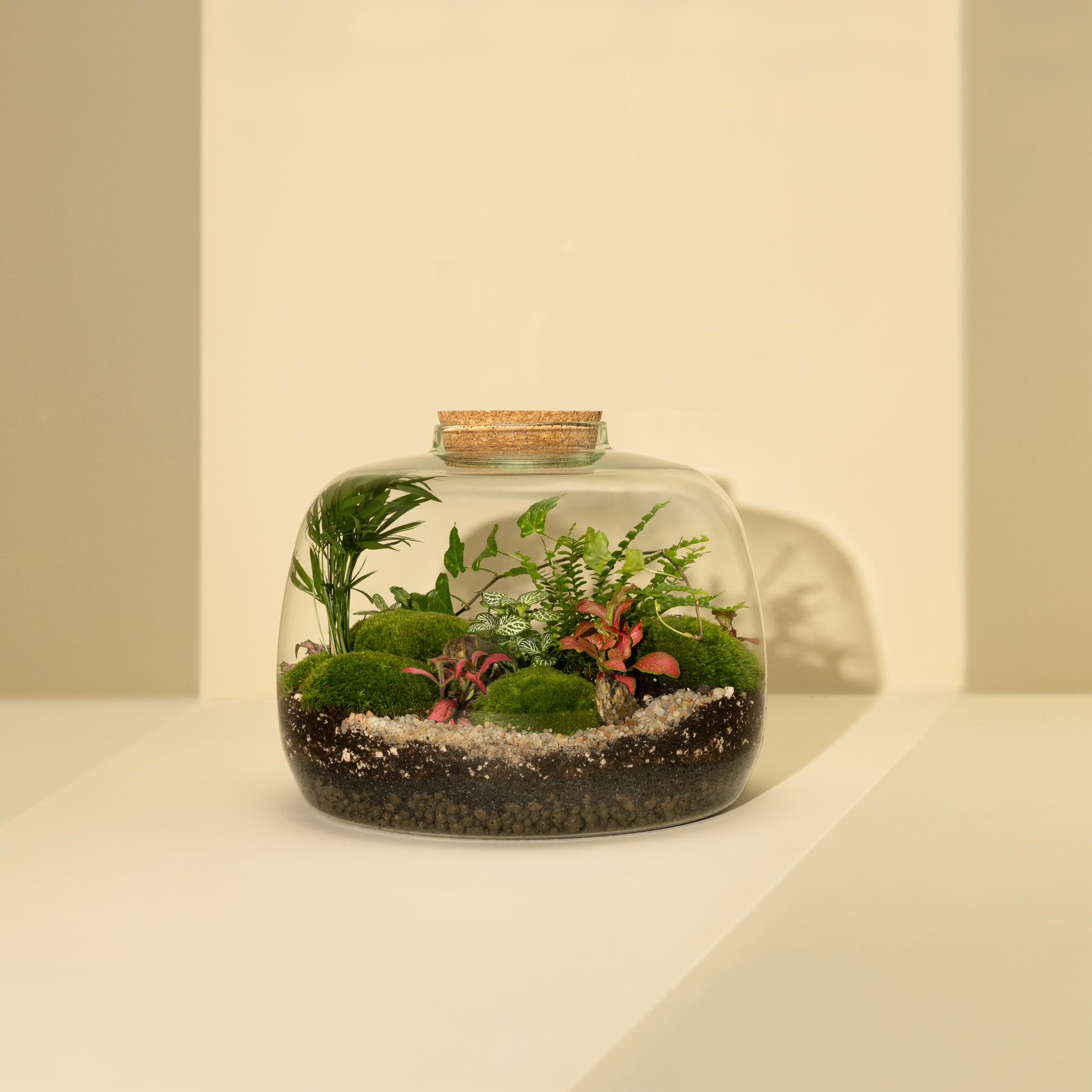 Plant Terrarium In Glass - Dasha