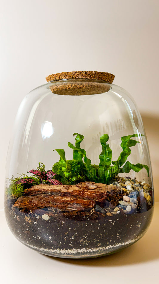 Plant Terrarium In Glass - Rose