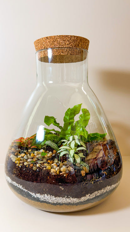 Plant Terrarium In Glass - Tomáš