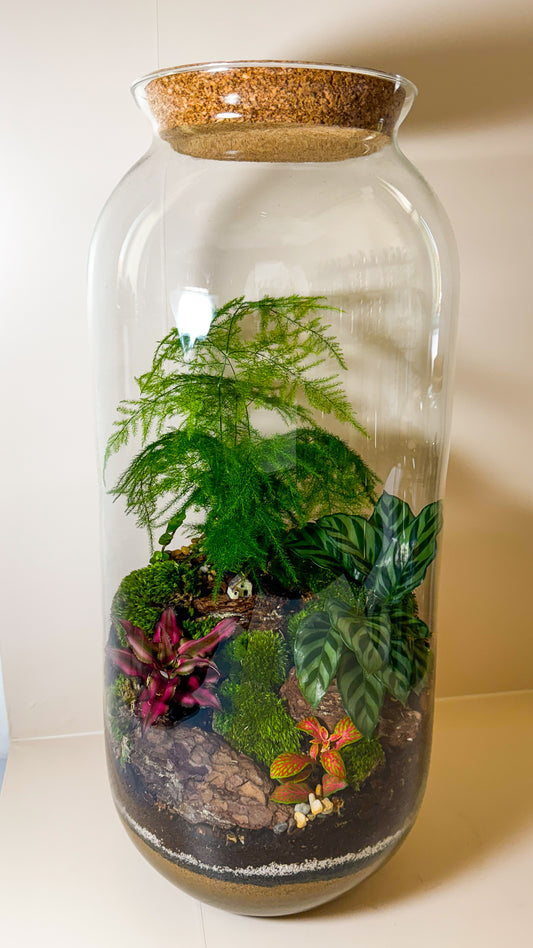 Plant Terrarium In Glass - Radka