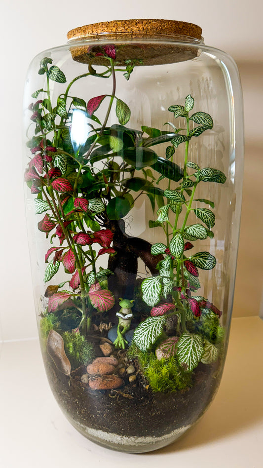 Plant Terrarium In Glass - Zuzana