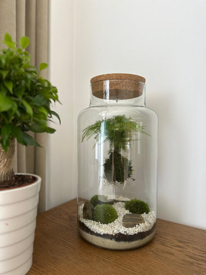 Plant Terrarium In Glass - Kokedarium