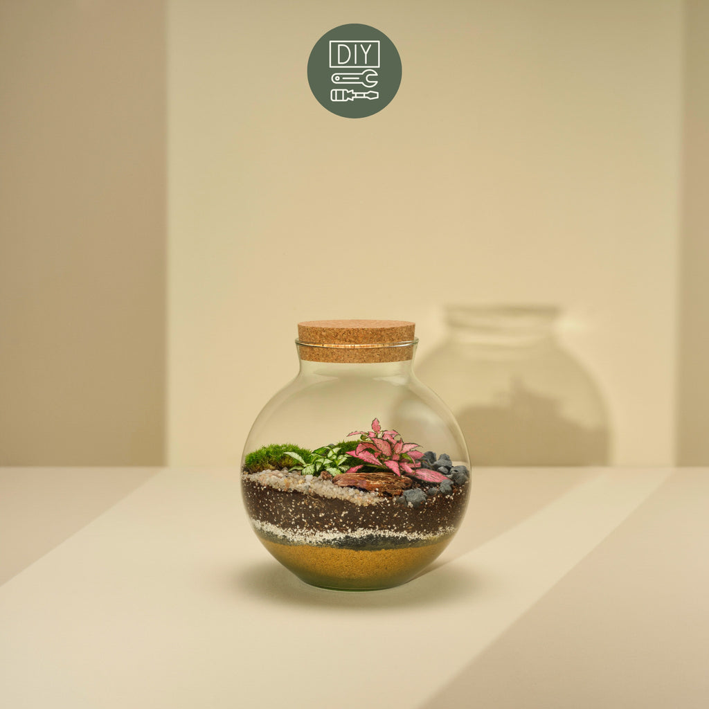 Vienna Terrarium Workshop