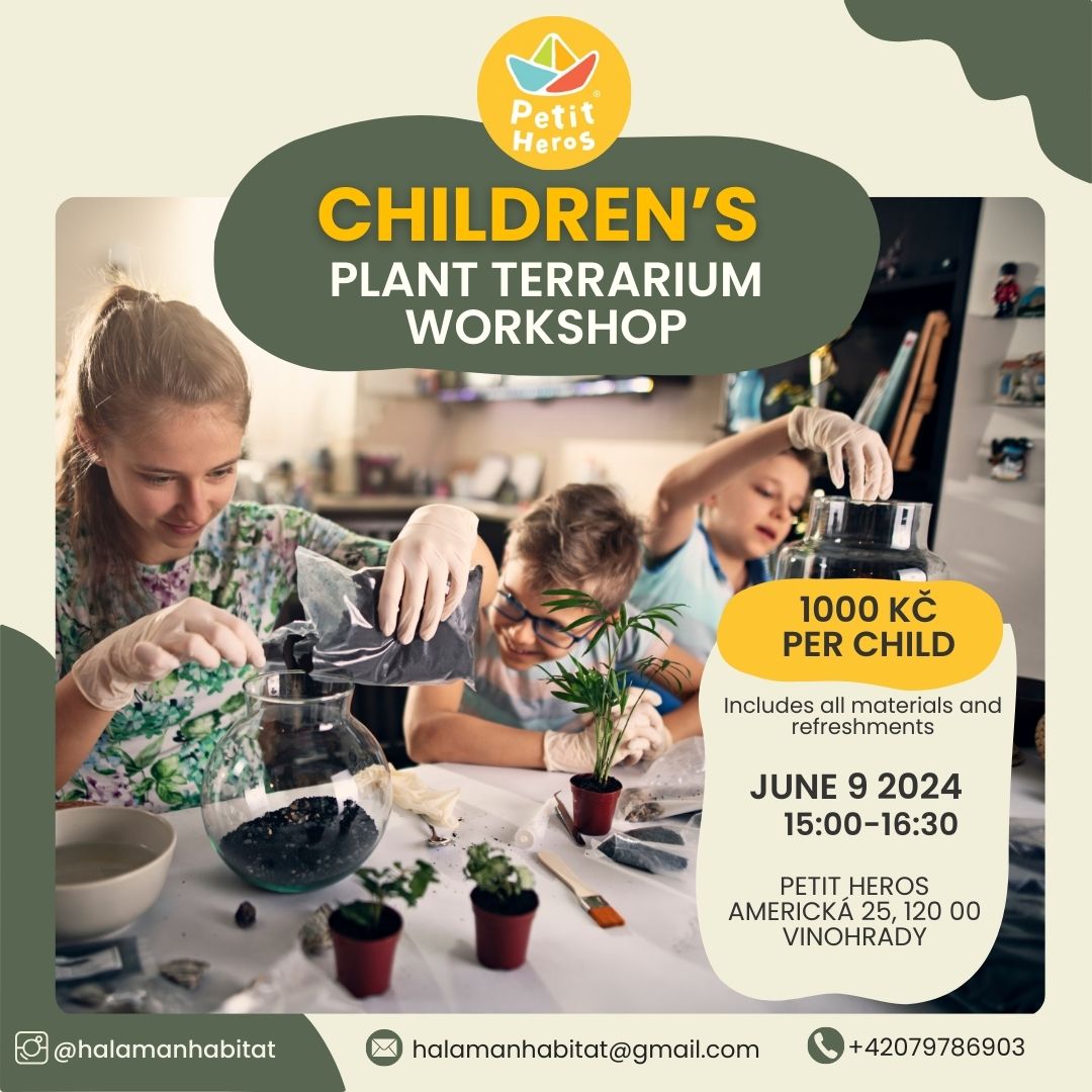 Children's Terrarium Workshop