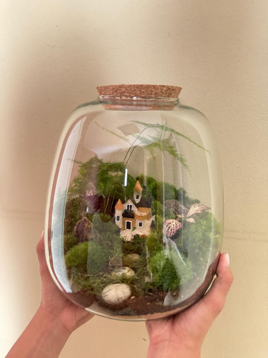 Plant Terrarium In Glass - Rose