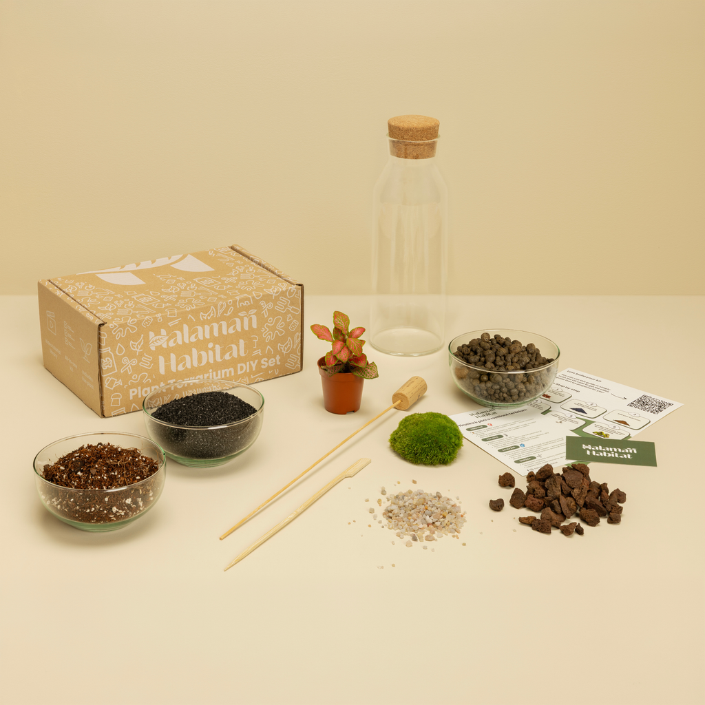 DIY Terrarium Set - Martin
