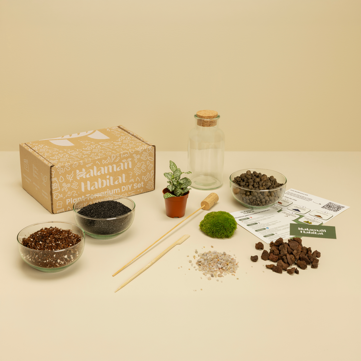 DIY Terrarium Set - Anne