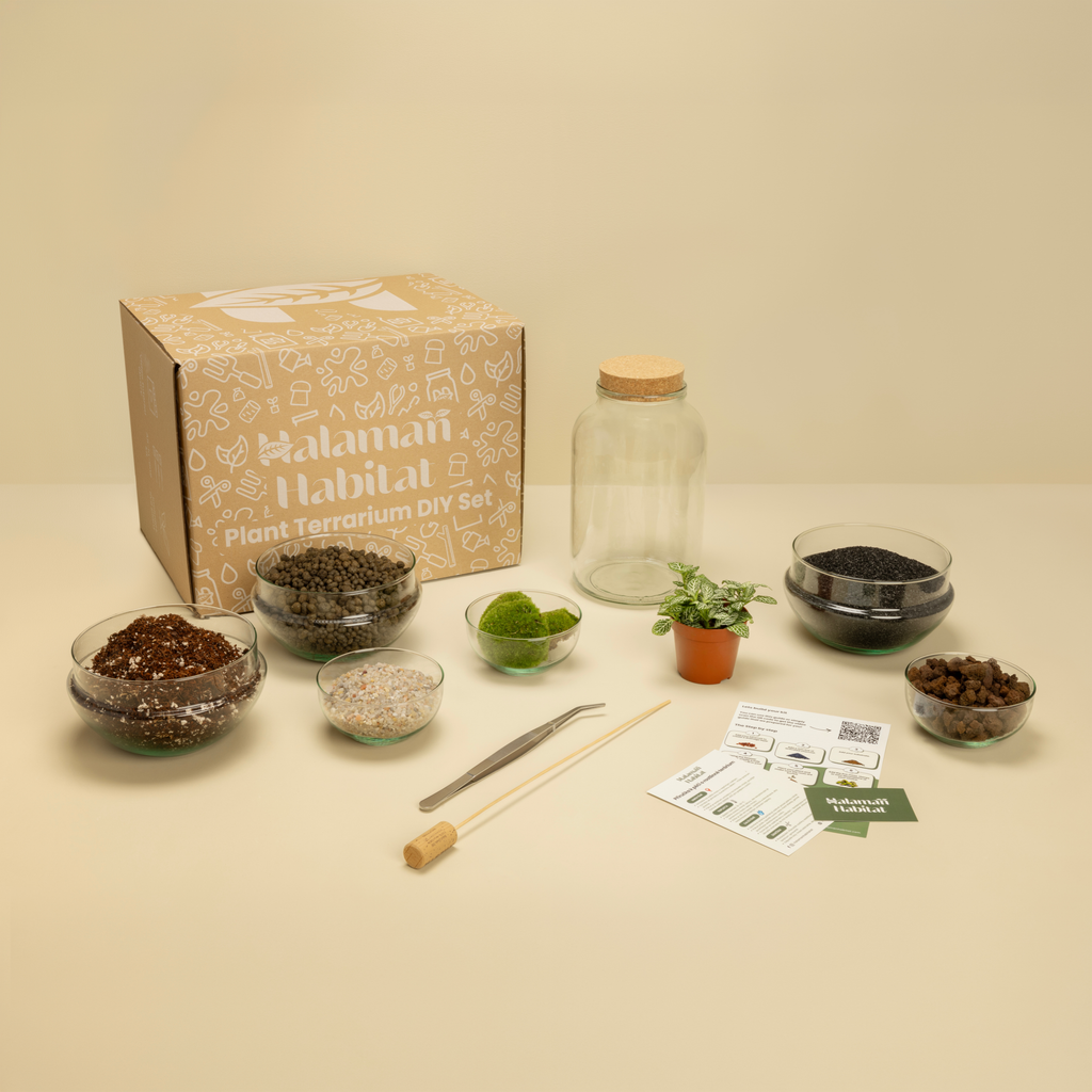 DIY Terrarium Set - Nenita