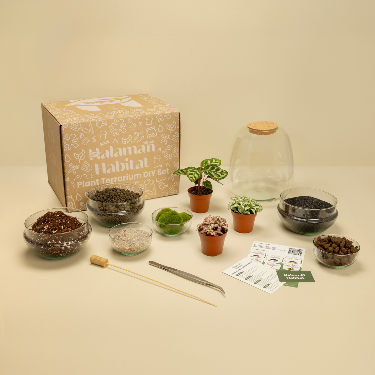 DIY Terrarium Set - Rose