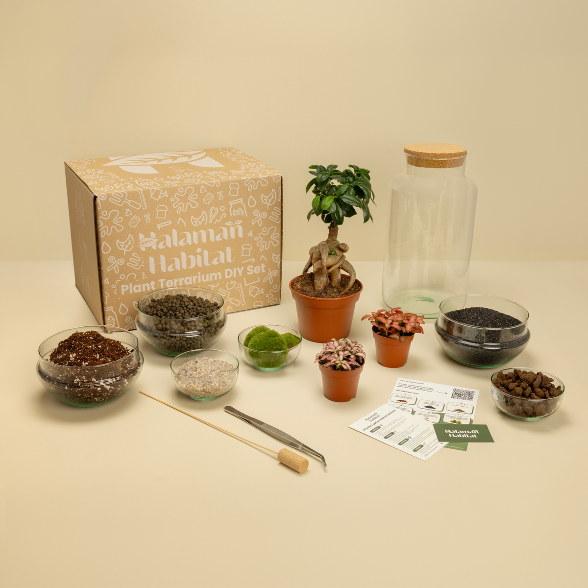 DIY Terrarium Set - Tadeas Large