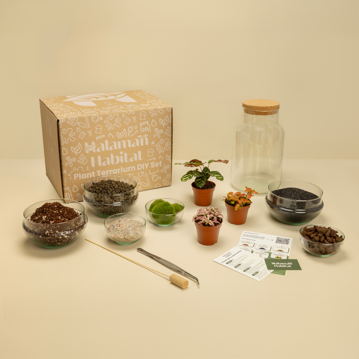 DIY Terrarium Set - Tadeas Medium