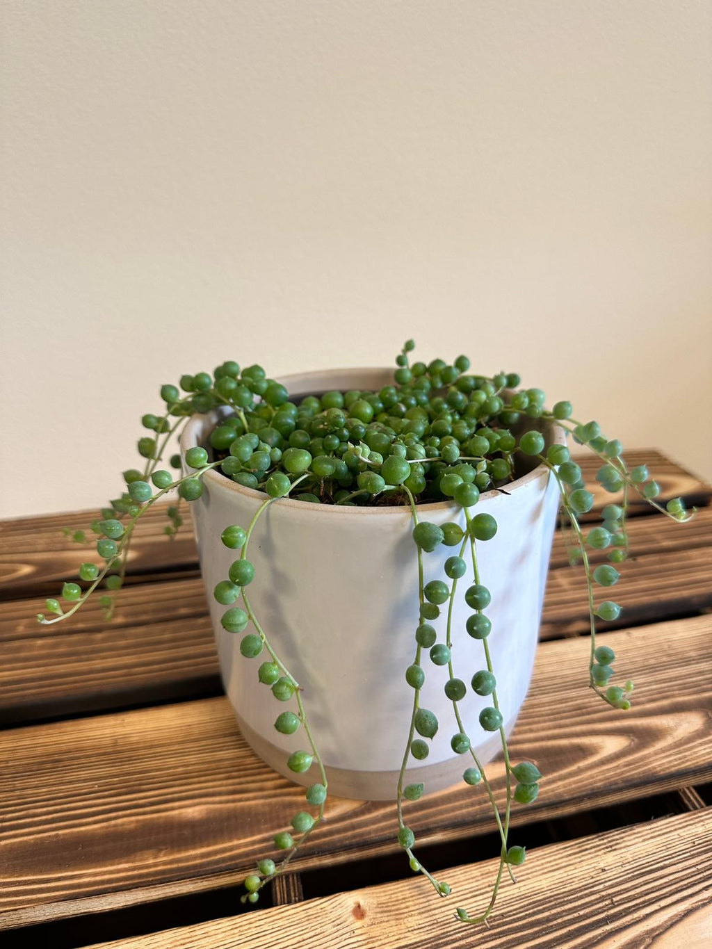 String of Pearls