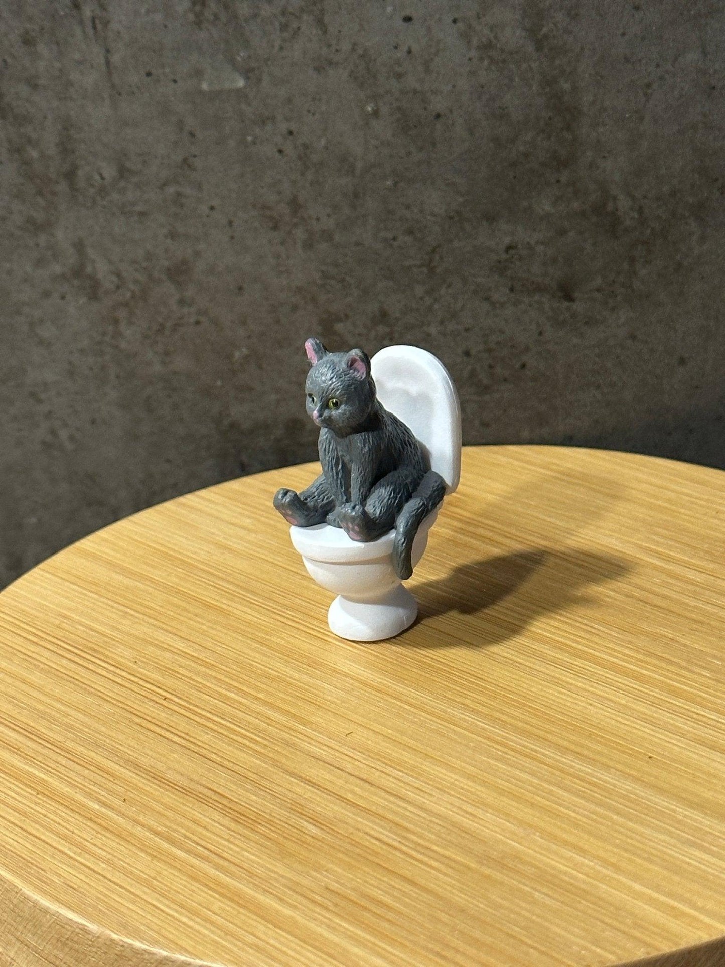 Cat on a Toilet - Halaman Habitat -