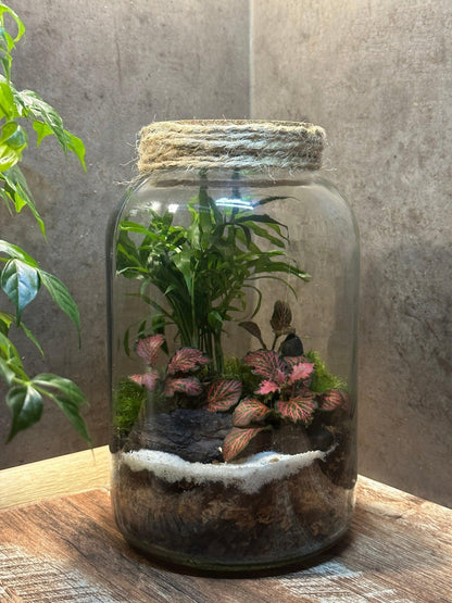 DIY Terrarium Set - Nenita - Halaman Habitat - DIY Terrarium Set